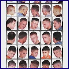 11 Matter Of Fact Barbers Chart