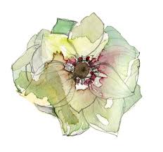 Weddings talk about love, joy, and cheer and are the moments that take place once in a lifetime for each one of us. Love N Fresh Flowers Flower Farm And Wedding Florist Philadelphia