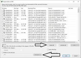 How To Download Youtube Playlist Using Internet Download Manager 100 Working Youtube Playlist Playlist Youtube