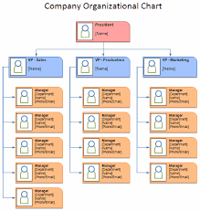Download The Company Organization Chart Template From