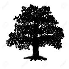 Jetzt die vektorgrafik baum silhouette herunterladen. Eiche Baum Silhouette Mit Blattern Auf Einem Weissen Hintergrund Lizenzfrei Nutzbare Vektorgrafiken Clip Arts Illustrationen Image 27517098