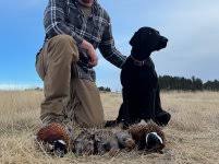 New Guy from Montana