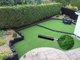 Why not show them some tlc this year.continue reading. How To Treat Mould Or Moss On Artificial Grass Grass Direct Blog