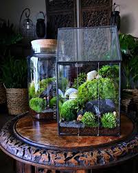 I Refreshed The Design Of My House Shaped Terrarium To Be Fuller And More Lushly Planted With Three Typ Large Greenhouse Indoor Plants Low Light Moss Terrarium