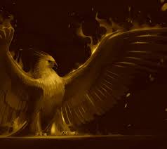 You can also upload and share your favorite bird wallpapers for bird wallpapers for desktop. Golden Phoenix Wallpapers Top Free Golden Phoenix Backgrounds Wallpaperaccess