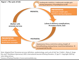 Your Time In The Womb Matters Risk Factors For Anorexia Nervosa Science Of Eating Disorders