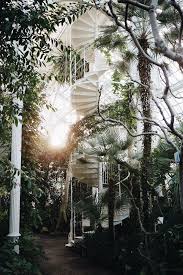 Blog The Curly Head Palmenhaus Vienna Photography By Amelie Niederbuchner Wien Travel Diary Bsxh6327 Palmenhaus Wien Reisen Wien Urlaub