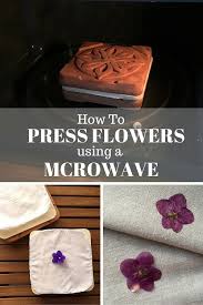 Who knew cat litter could be used for something other than the litter box! How To Press Flowers Using A Microwave The Beading Gem S Journal