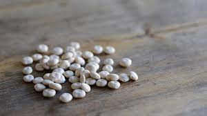 Lity a emena lupiny v zahradě nebo v květináči obahují alkaloidy, které jou toxické pro člověka, domácí zvířata a dokonce i koně a ovce. Lupinen Giftig Lupinen Sind Das Heimische Soja Wissenswertes Uber Lupinen Bayern 1 Radio Br De