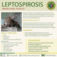 Philippines Doh Issues Health Advisory Post Typhoon Nona Health Contaminated Food Bacterial Infection