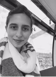 Lady Evelyn Mysteries