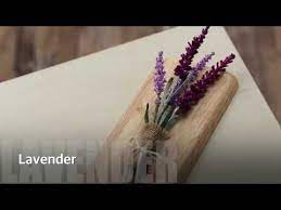 Super Easy How To Make Crepe Paper Flower Lavender Free Template Download Youtube Paper Flowers Paper Flower Tutorial Crepe Paper