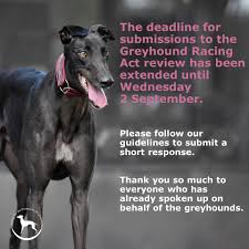 Site wide emergency resolved announcement. Nsw Government Should Ban Euthanasia Of Healthy Greyhounds Australian Dog Lover