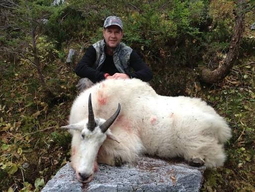 Mountain Goat Trophies - Bolen Lewis