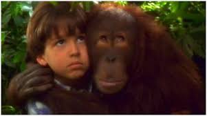 DUNSTON : Panique au palace*