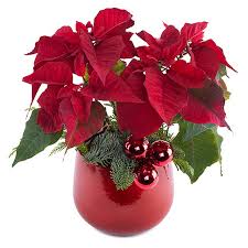 From frankfurt to berlin, we'll help you make loved ones in germany smile with truly original flowers, plants & gift baskets! Christmas Malaysia Luxurious Christmas Hampers Delivery Germany