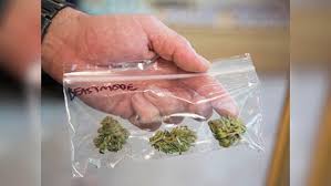 Alaska reporter reveals she owns a marijuana business