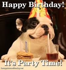 Happy Birthday Funny Dog Party | http://justforgagscollections ... via Relatably.com