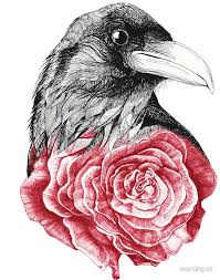 Crow And Rose Flower Sticker By Martinpot Crows Drawing Crow Tattoo Raven Tattoo