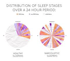 Image result for Narcolepsy