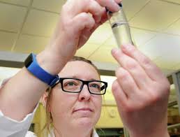 UConn's research rankings slip again