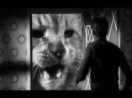 The incredible shrinking man movie. 321 The Incredible Shrinking Man 1957 Youtube
