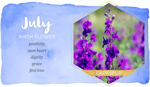 Check spelling or type a new query. Birth Month Flowers And Their Meanings