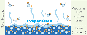 Evaporation rates generally have an inverse relationship to boiling points; Physics Of Evaporation