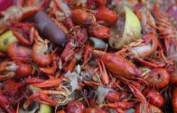 Can you still eat dead crawfish?