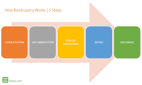 the bankruptcy process explained in 5 steps hoyes michalos