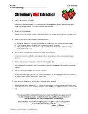 We did not find results for: Strawberry Dna Lab Report Blank Docx Name General Biology Lab Activity 1 What Is The Function Of Dna Dna Directs The Synthesis Of Every Protein And Course Hero