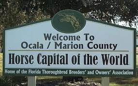 Welcome to horse town u.s.a, where wellington, fla. Go Horse Shop S Guide To Horse Shopping In Ocala Fl 4equestrians