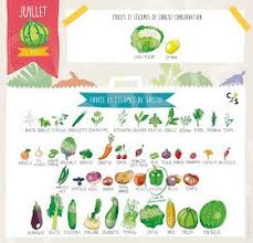 Pissenlit Calendrier De Juillet Legumes De Saison Fruits Et Legumes De Saison Liste Des Fruits Et Legumes