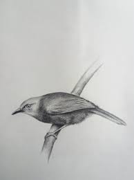35 mindblowing realistic pencil drawings. Simple Pencil Drawings By Madura Prasanga Home Facebook