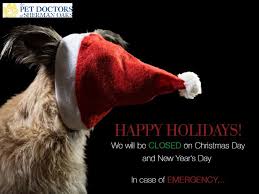 Pet doctors of sherman oaks wireframe animal sculpture portal in sherman oaks california united states. The Pet Doctors Thepetdoctorsso Twitter