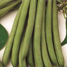 Try some of these healthy and delicious recipes developed by registered dietitians Bean Stringless Green Pod Bush Mckenzie Seeds