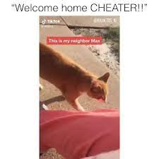 Meowingtonsco Instagram When You Come Home Smelling Like Another Cat Rahktos Welcome Home Cheat When You Come Home Sharkboy And Lavagirl Ifunny