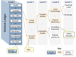 Chart Of Accounts Sap Documentation