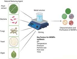We did not find results for: Plants An Open Access Journal From Mdpi