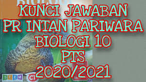 Kunci jawaban lks ekcellent sejarah kelas x. Kunci Jawaban Biologi 10 Penilaian Tengah Semester Youtube