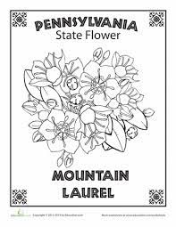 We did not find results for: Pennsylvania State Flower Worksheet Education Com Flower Coloring Pages Coloring Pages For Kids Coloring Pages