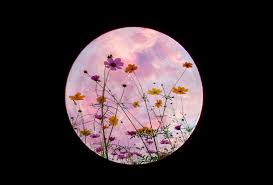 This full moon is also known as a pink moon, but unfortunately, that doesn't mean the moon will look pink (i know, i'm bummed, too). What Does The Pink Moon Mean Wishing Moon