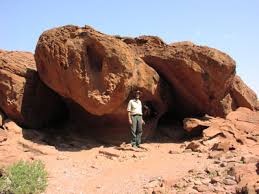 Image result for Danthoniopsis dinteri