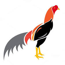 Pin Di Roosters