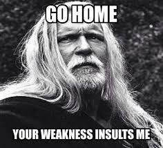 This Is For All Those Weak People That I Encounter On A Daily Basis Who Can T Deal With The Stress Of Living In A First Worl Viking Quotes Warrior Quotes Norse