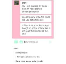 Actually Started Laughing So Hard My Stomach Hurt Its 12 00 I Have To Wake Up At 5 00 For School I Think Imma Go To Funny Tumblr Posts Tumblr Funny Funny Memes