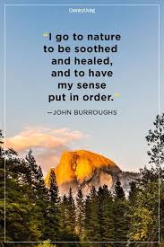 39 Camping Quotes That Ll Get You Pumped For Your Next Adventure Camping Quotes Outdoor Quotes Home Quotes And Sayings