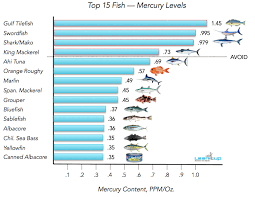 Mercury Level In Tuna Reaching Alarming Levels