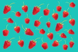 Summer S Bounty Comprehensive Natural Medicine