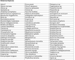 Image result for Lasiodiscus pervillei